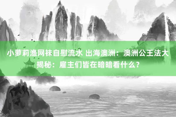 小萝莉渔网袜自慰流水 出海澳洲：澳洲公王法大揭秘：雇主们皆在暗暗看什么？