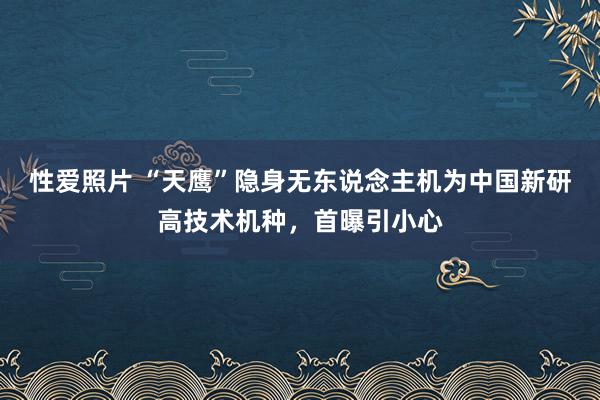 性爱照片 “天鹰”隐身无东说念主机为中国新研高技术机种，首曝引小心