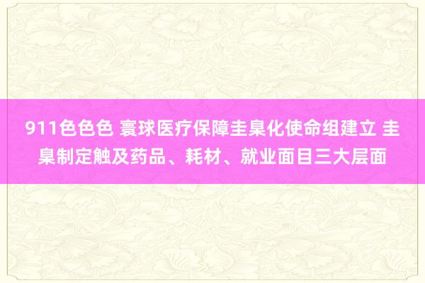 911色色色 寰球医疗保障圭臬化使命组建立 圭臬制定触及药品、耗材、就业面目三大层面