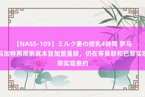 【NASS-109】ミルク妻の授乳4時間 罗马诺：乌加特两周前就本旨加盟曼联，仍在等曼联和巴黎实现条约