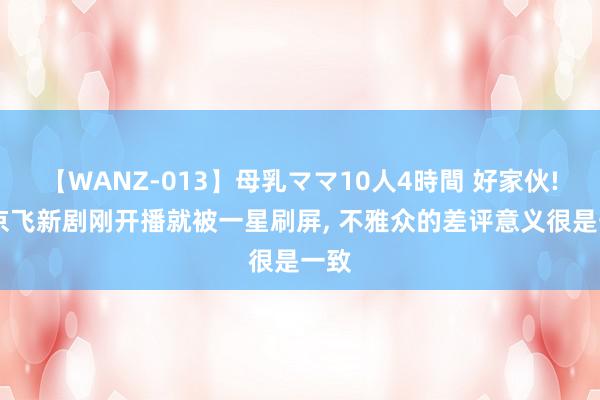 【WANZ-013】母乳ママ10人4時間 好家伙! 郭京飞新剧刚开播就被一星刷屏, 不雅众的差评意义很是一致