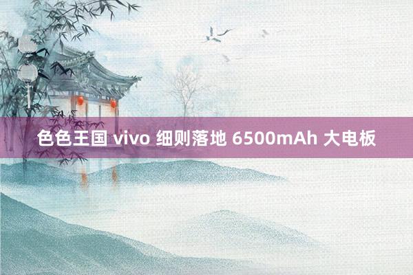 色色王国 vivo 细则落地 6500mAh 大电板