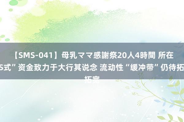 【SMS-041】母乳ママ感謝祭20人4時間 所在“S式”资金致力于大行其说念 流动性“缓冲带”仍待拓宽