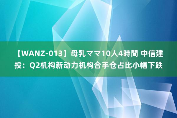 【WANZ-013】母乳ママ10人4時間 中信建投：Q2机构新动力机构合手仓占比小幅下跌