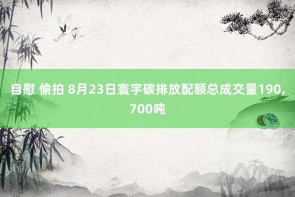 自慰 偷拍 8月23日寰宇碳排放配额总成交量190,700吨