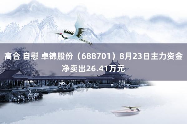 高合 自慰 卓锦股份（688701）8月23日主力资金净卖出26.41万元