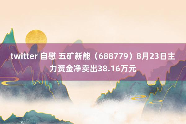 twitter 自慰 五矿新能（688779）8月23日主力资金净卖出38.16万元