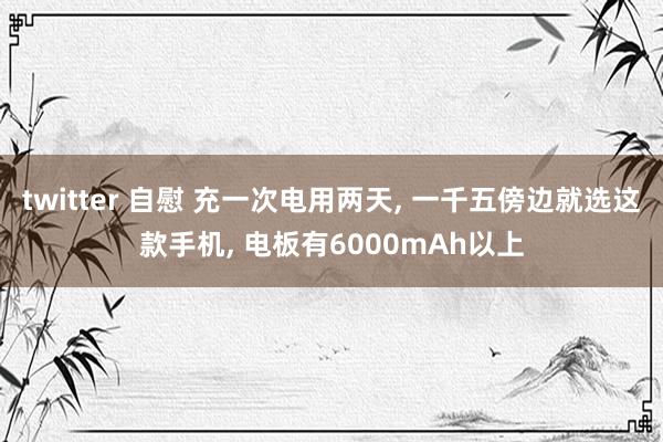 twitter 自慰 充一次电用两天, 一千五傍边就选这款手机, 电板有6000mAh以上